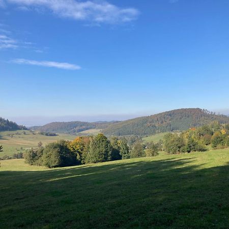 Villa Na Piotrowickiej Przeleczy Bystrzyca Kłodzka Exterior foto