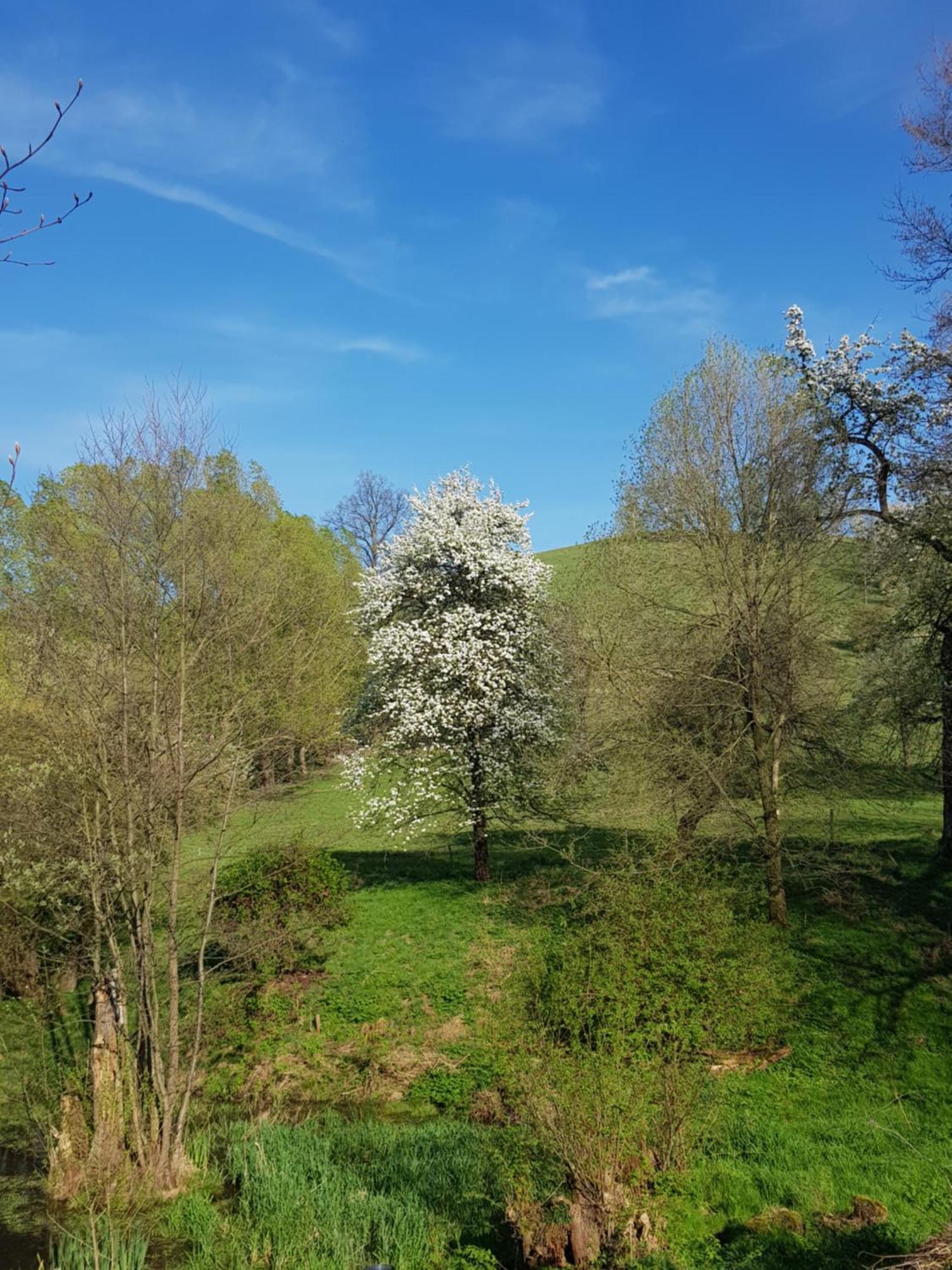 Villa Na Piotrowickiej Przeleczy Bystrzyca Kłodzka Exterior foto