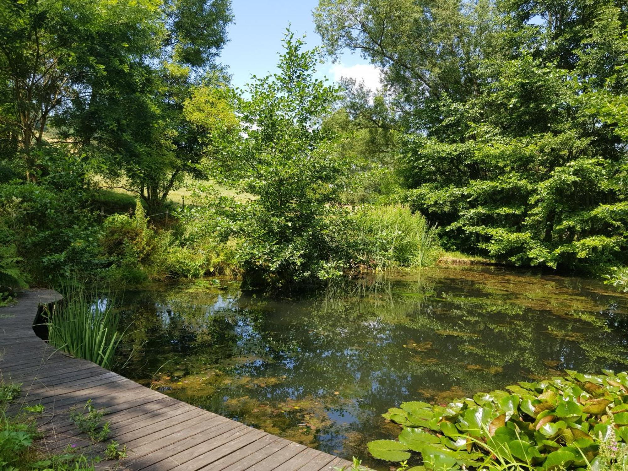 Villa Na Piotrowickiej Przeleczy Bystrzyca Kłodzka Exterior foto