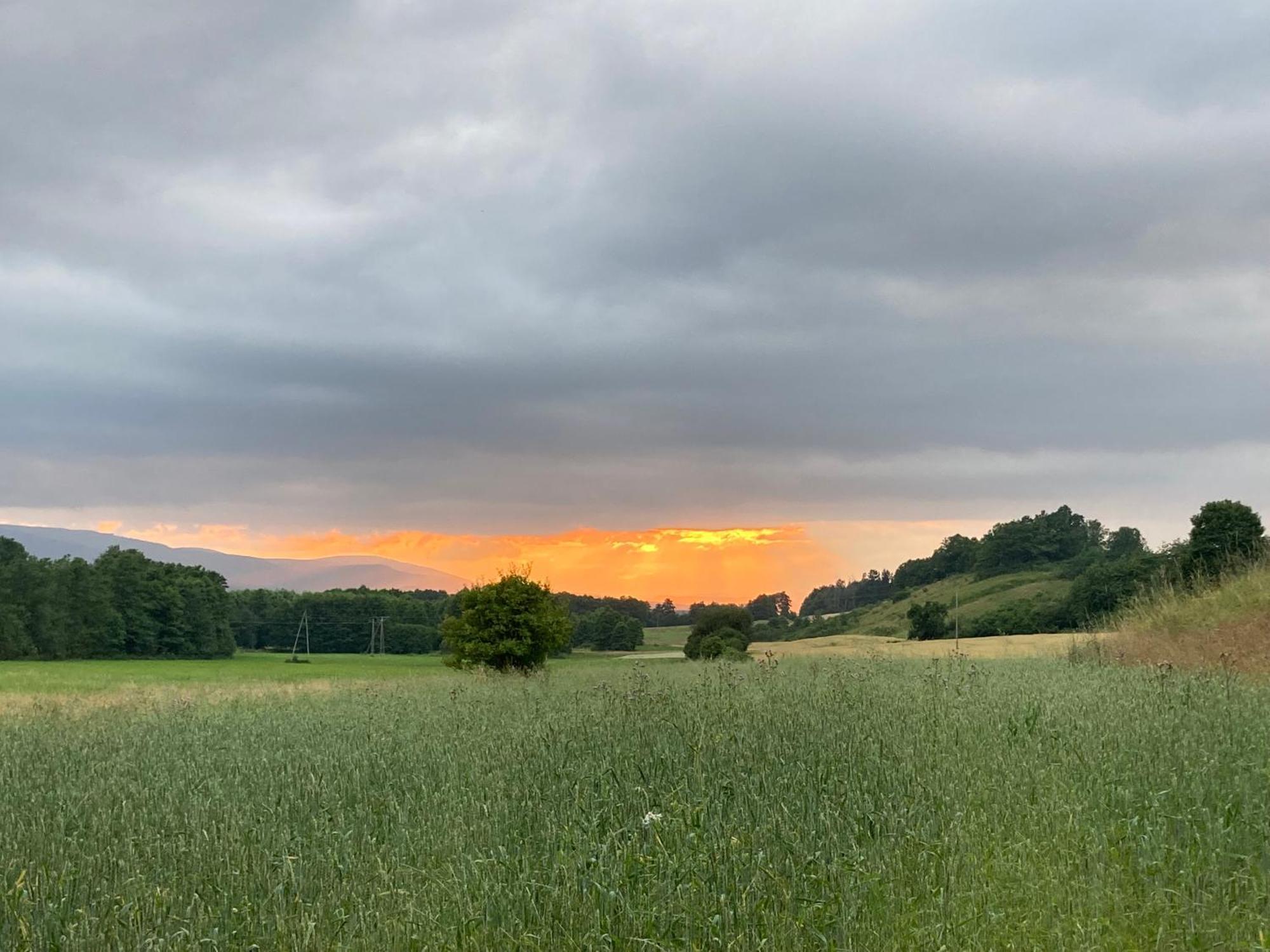 Villa Na Piotrowickiej Przeleczy Bystrzyca Kłodzka Exterior foto