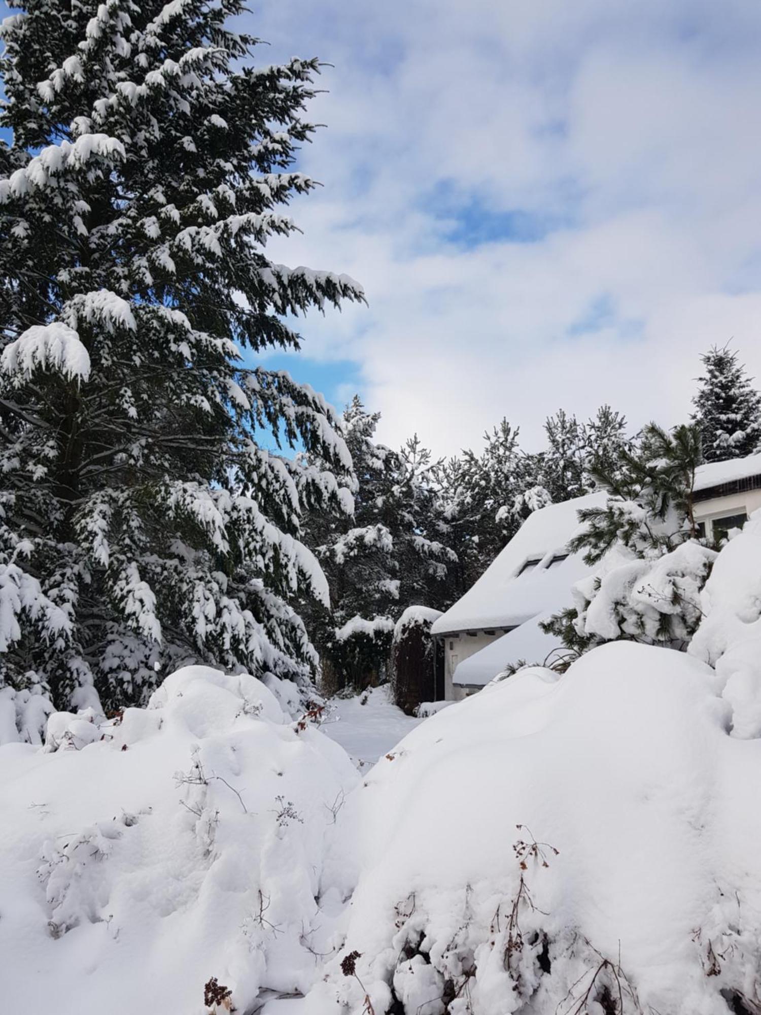 Villa Na Piotrowickiej Przeleczy Bystrzyca Kłodzka Exterior foto