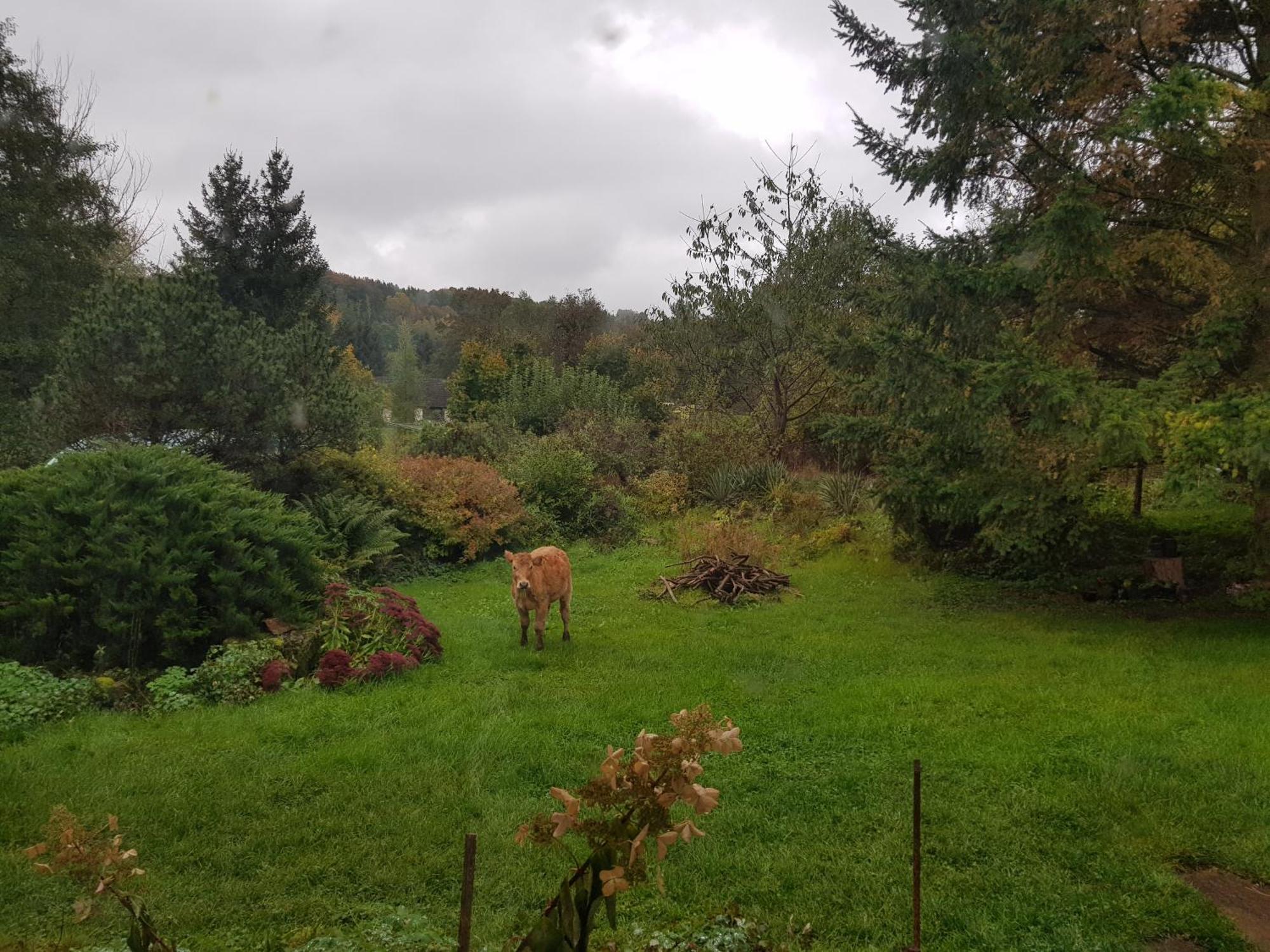 Villa Na Piotrowickiej Przeleczy Bystrzyca Kłodzka Exterior foto