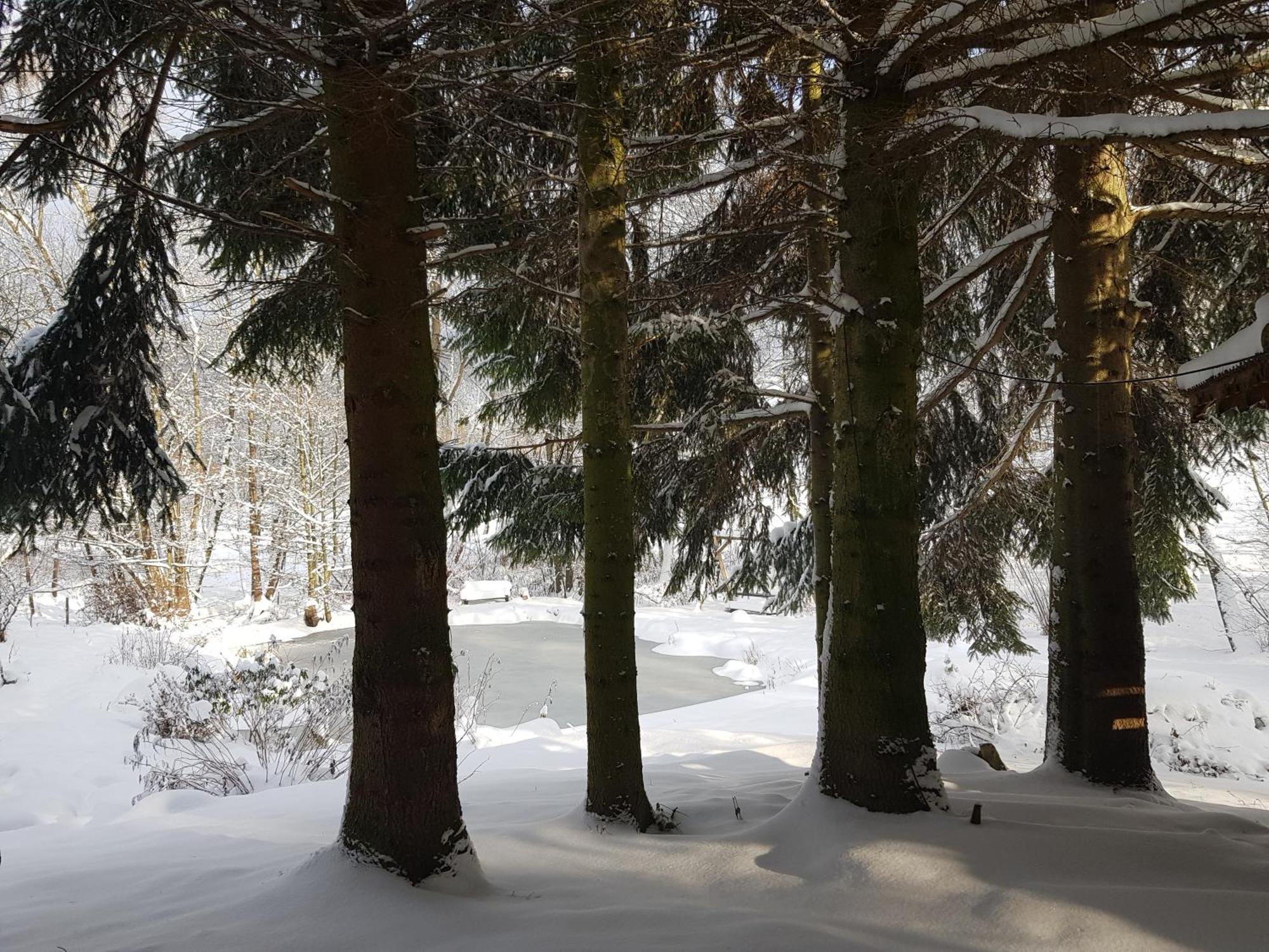 Villa Na Piotrowickiej Przeleczy Bystrzyca Kłodzka Exterior foto